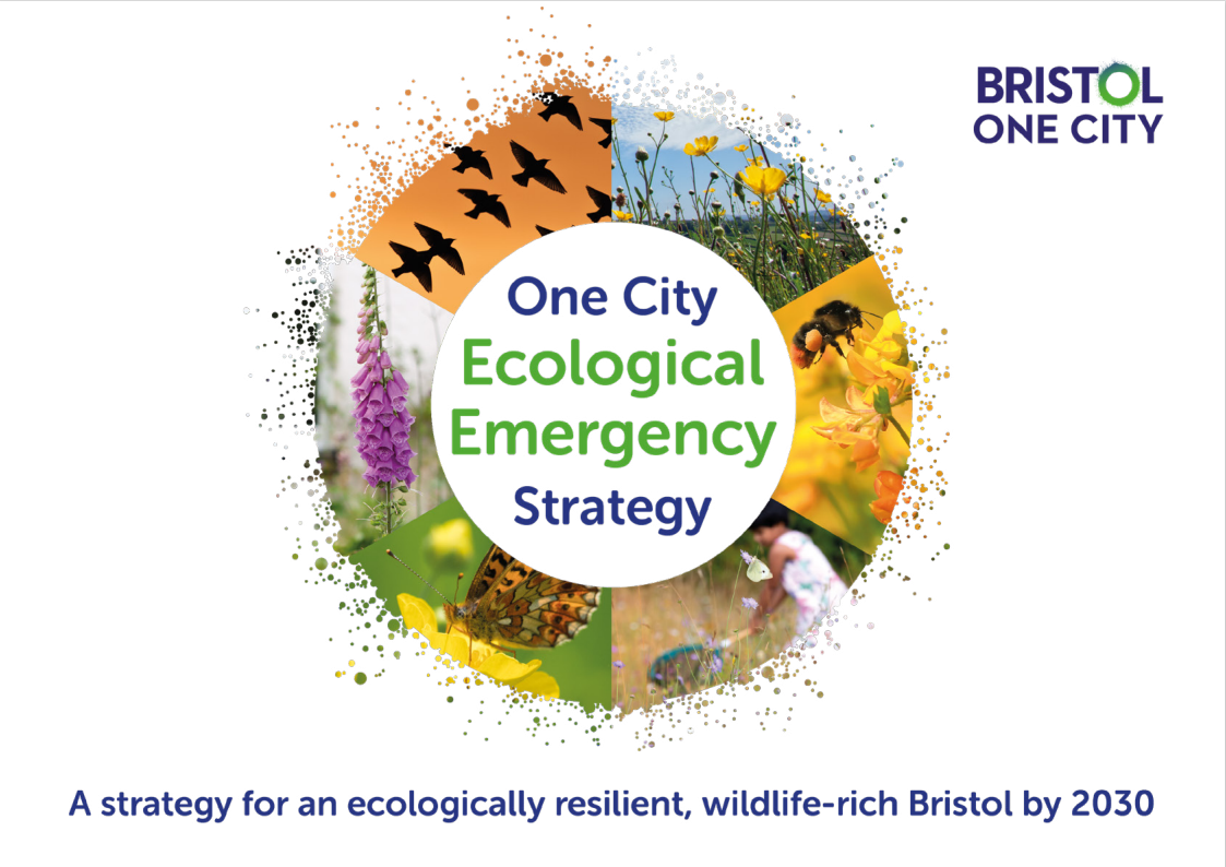 One City Ecological Emergency Strategy cover