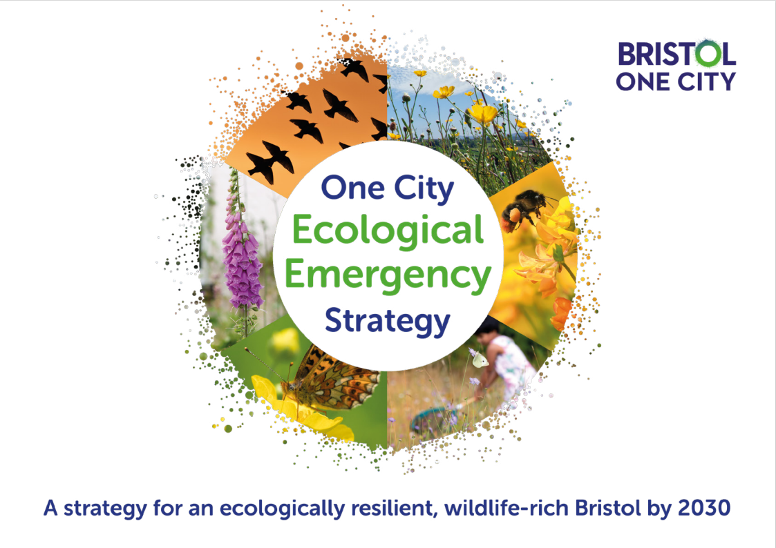 ecological emergency strategy cover One City Ecological Emergency Strategy cover