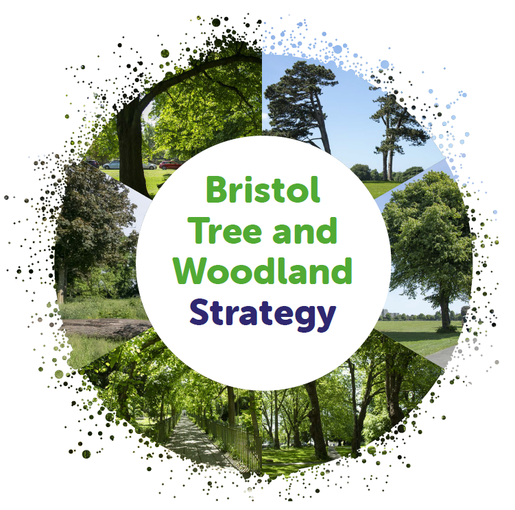 Bristol Tree and Woodland Strategy